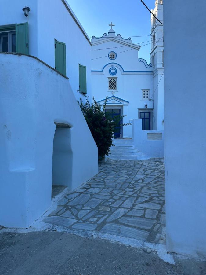 Cycladic House With Amazing View In Potamia Village Dio Choria Exterior foto